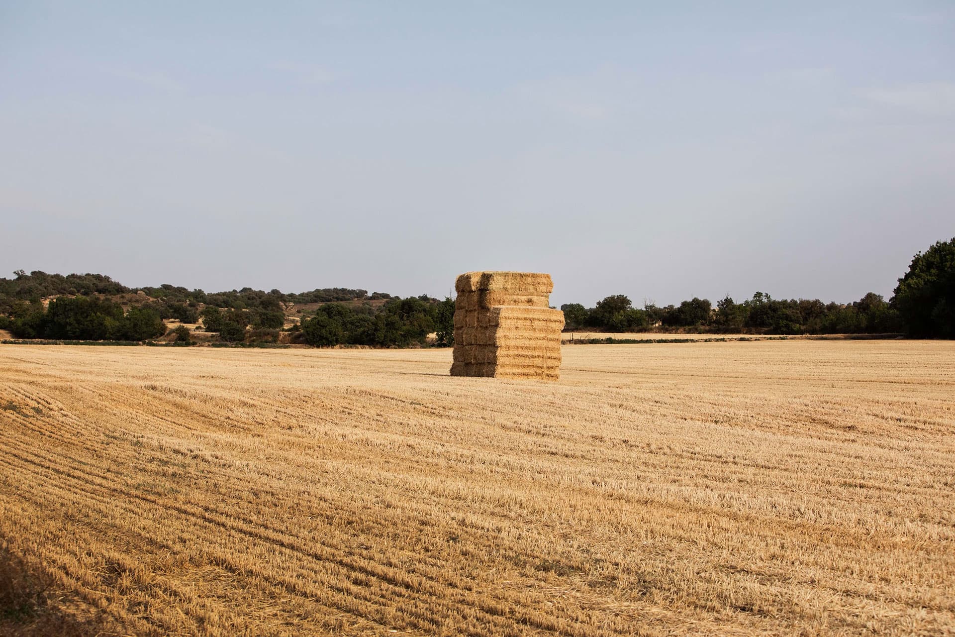 Balles de foin